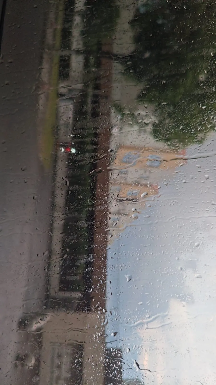 雨