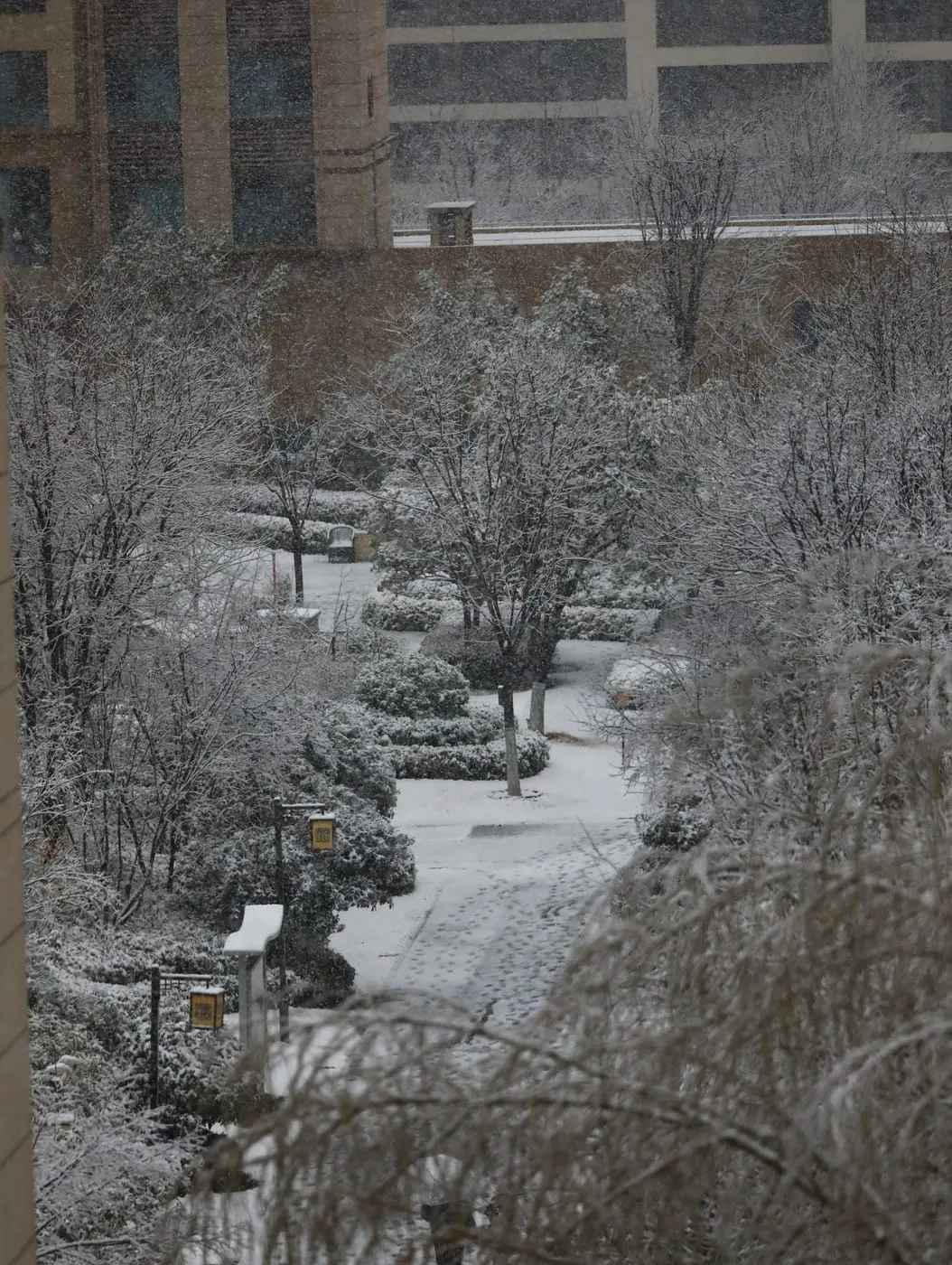雪后小区