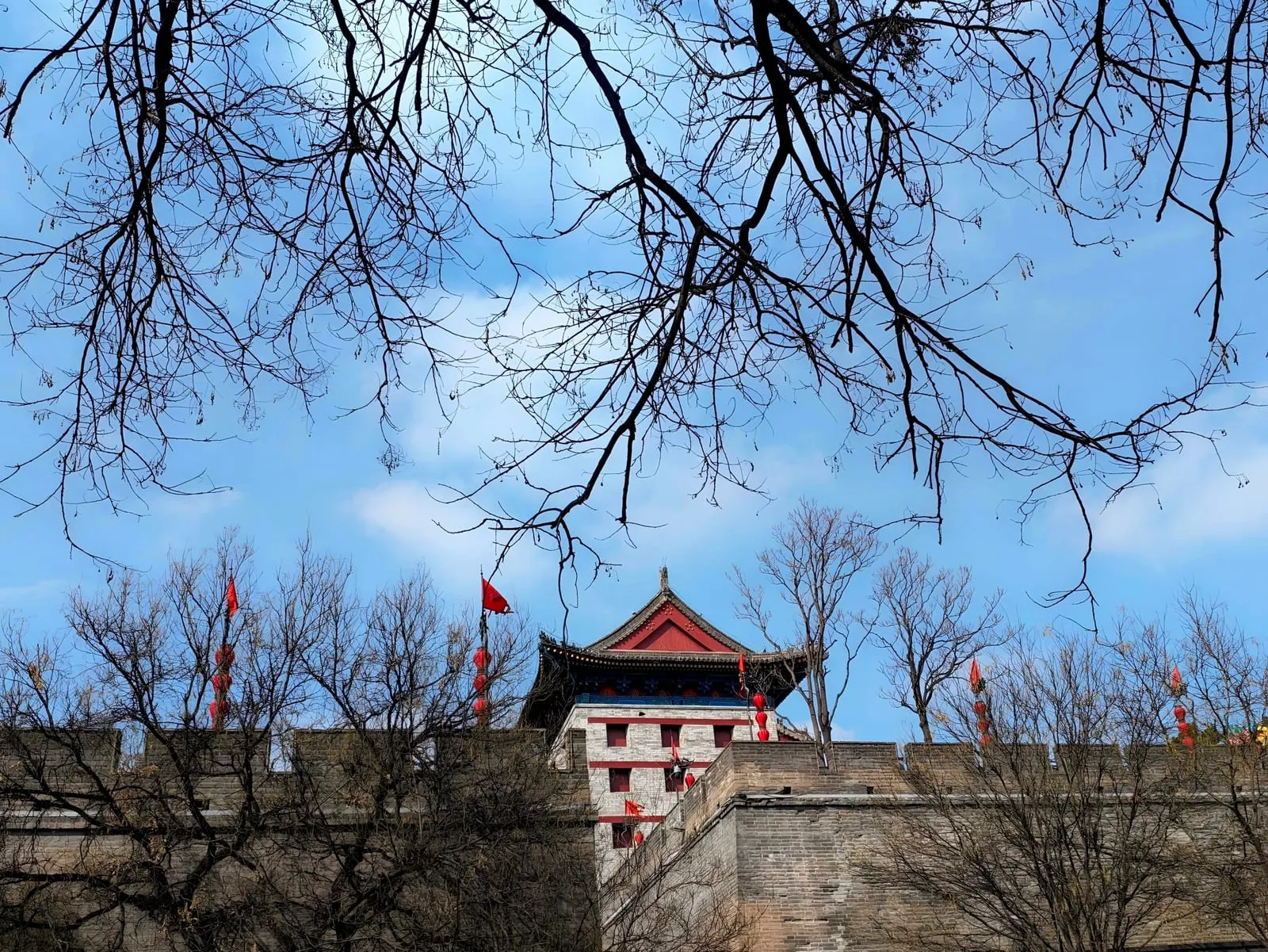 枯枝与城墙