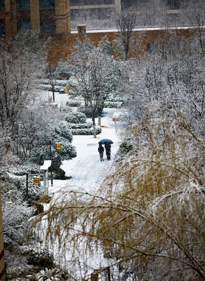 雪中打伞的两个人