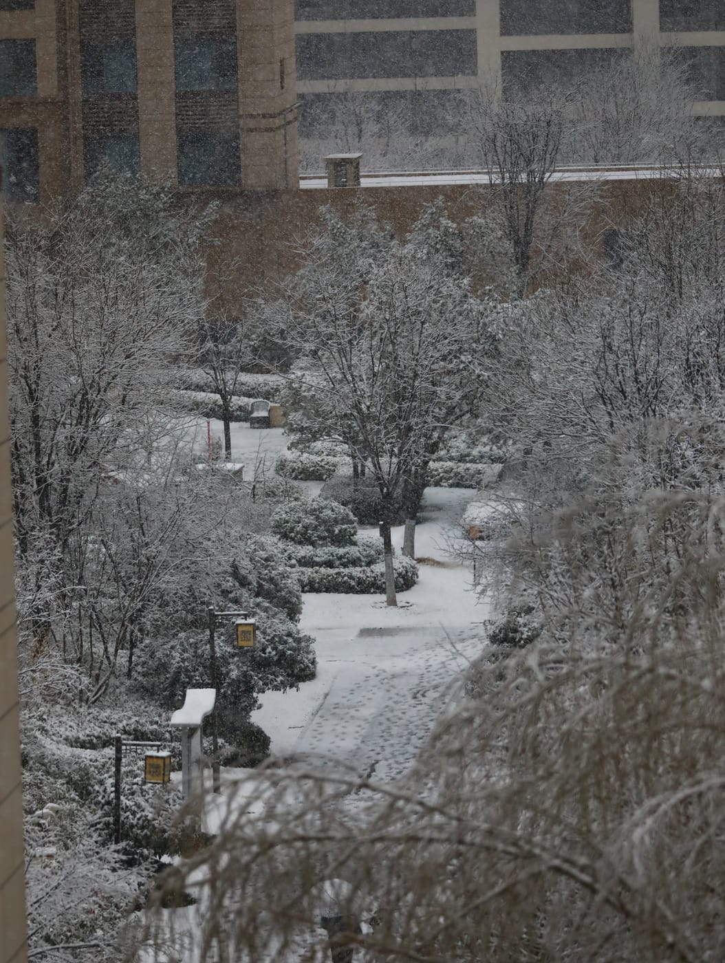 雪后小区